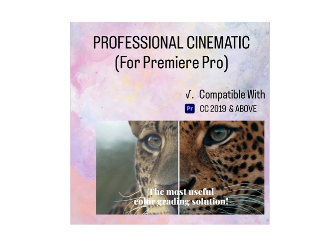 Professional Cinematic Plugin for Premiere Pro